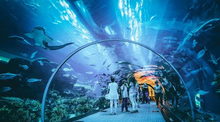 VIP tickets to the Dubai Aquarium and Underwater Zoo